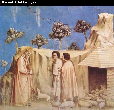 GIOTTO di Bondone Joachim Takes Refuge in the Wilderness (mk08)